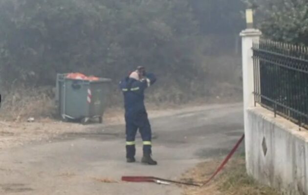 Αχαΐα: Η φωτιά καίει σπίτια και εργοστάσια – Σε σοβαρή κατάσταση εγκαυματίας