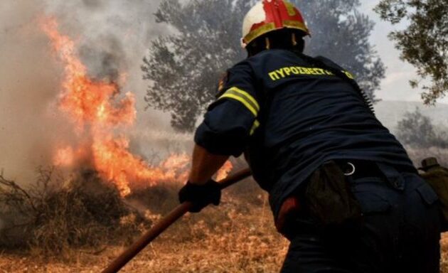 «Συναγερμός» από Σαρηγιάννη για την Πάτρα: Τριπλάσιες οι καρκινογόνες ενώσεις στα αιωρούμενα σωματίδια από τη φωτιά