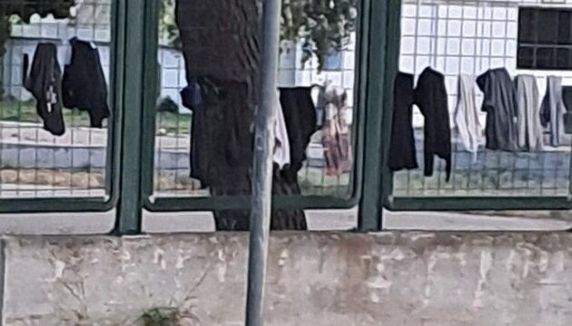 Συνελήφθησαν Ρομά στη Λαμία – Ζούνε ακόμα στον μεσαίωνα και δεν σέβονται τους νόμους