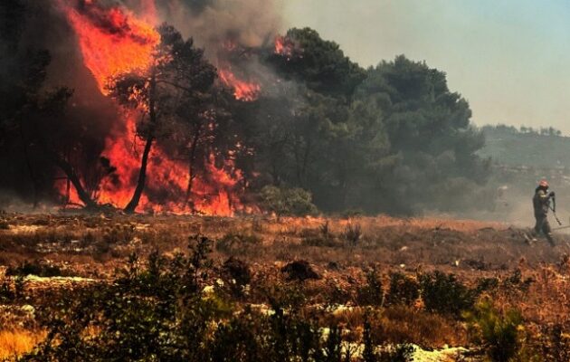 Στις φλόγες η χώρα: Ανεξέλεγκτες φωτιές σε Αχαΐα, Ζάκυνθο, Χίο – Μπαράζ 112 για εκκενώσεις