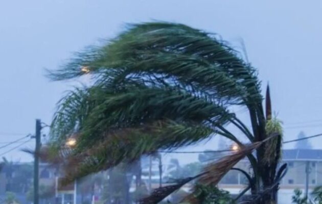 Καιρός: Έρχονται σφοδροί άνεμοι σε 4 περιοχές – Η ανάρτηση Αρναούτογλου