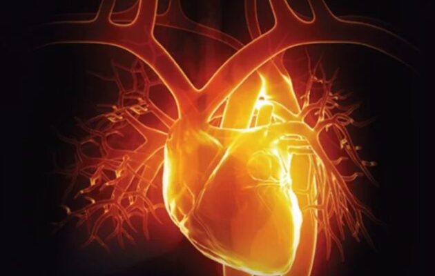 Θεραπεία RNA: Ενδομυϊκή ένεση θα μπορούσε να βοηθήσει την καρδιά να επουλωθεί μόνη της μετά από έμφραγμα