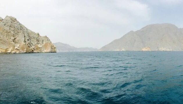 Πλοία που συνδέονται με το Ιράν διέπλευσαν τα Στενά του Ορμούζ – Τι δείχνουν τα δεδομένα εντοπισμού