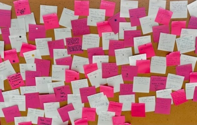 Έλληνες μαθητές «αποκρυπτογράφησαν» γλώσσες υπό εξαφάνιση με μεθοδολογία Sudoku