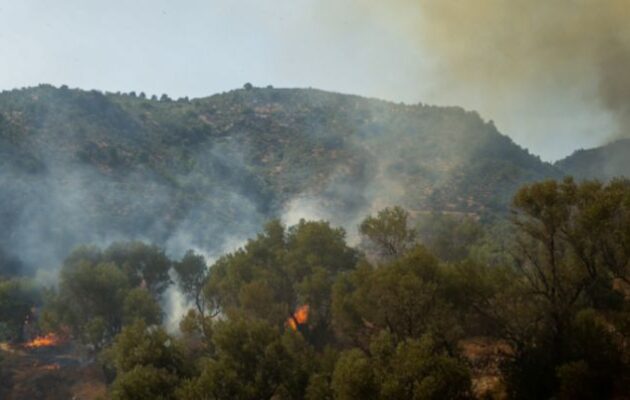 Νεκροί δύο πυροσβέστες στην πυρκαγιά στο Ρέθυμνο – Νεκρός πυροσβέστης και στο Γύθειο
