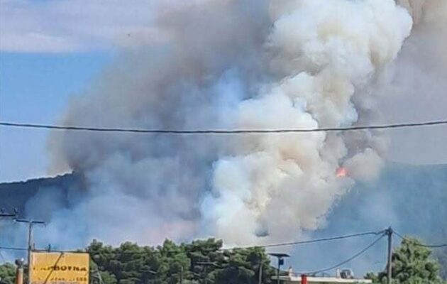 Εκτός ελέγχου η φωτιά στην Οινόη – Μήνυμα από το 112 και κυκλοφοριακές ρυθμίσεις