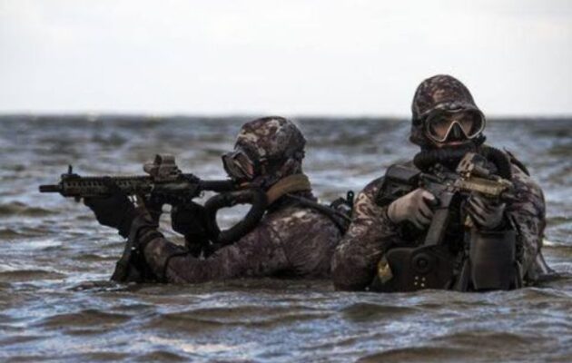 Οι Αμερικανοί Navy SEALs αφαίρεσαν δεκάδες ιρανικές θαλάσσιες νάρκες από τα Στενά του Ορμούζ